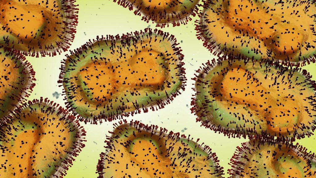 CDC advises on monkeypox sample collection protocols after U.S. exposure case